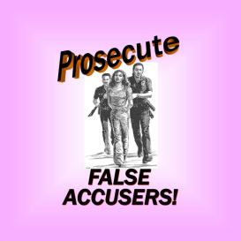 Prosecute False allegations of DV2 - 2016